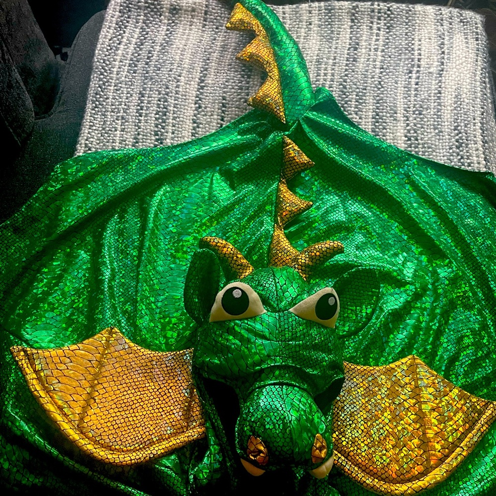 Dragon Halloween Costiume